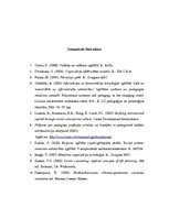 Referāts 'Pedagoga profesionālā karjera izglītības iestādē', 11.