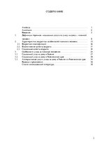 Referāts 'Услуга социального ухода на дому для пожилых людей в городе Резекне и Резекненск', 2.