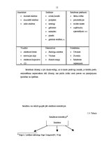 Referāts 'Reklāmu pārkāpumi mobilo sakaru tirgū', 12.