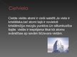 Prezentācija 'Cietu vielu un šķidrumu izplešanās', 2.
