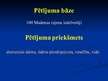 Referāts 'Ūdens nozīmīgums cilvēka dzīvē un tā piesārņojuma nelabvēlīgā ietekme', 29.