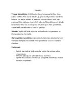 Referāts 'Ātro uzkodu ietekme uz organismu', 5.