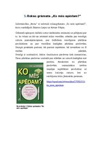 Referāts 'Ātro uzkodu ietekme uz organismu', 17.