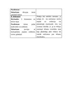 Referāts 'Ātro uzkodu ietekme uz organismu', 20.