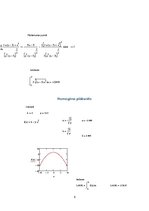 Paraugs 'Mājas darbs datormācībā MatCad', 6.