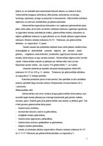 Prakses atskaite 'SIA "Madonas Ceļu būves"', 5.