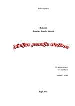 Referāts 'Dānijas pensiju sistēma', 1.