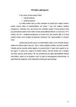 Referāts 'Dānijas pensiju sistēma', 10.