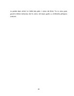 Referāts 'Ekonomikas integrācijas procesi ASV', 20.