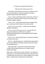 Prakses atskaite 'Kvalifikācijas prakses atskaite', 4.