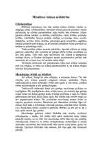 Referāts 'Islāma rašanās un raksturojums', 10.