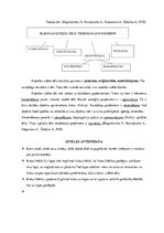 Referāts 'Iztēle. Iztēles veidi. Radošās iztēles paņēmieni. Iztēles attīstīšana', 8.
