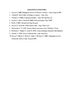 Referāts 'Iztēle. Iztēles veidi. Radošās iztēles paņēmieni. Iztēles attīstīšana', 9.