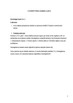 Prakses atskaite 'Lietu tiesības. Pirmpirkuma un izpirkuma tiesības - atšķirību analīze', 3.