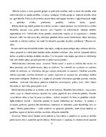 Referāts 'Iniciatīvas "Skolas soma" īstenošanas specifika sākumskolā', 17.