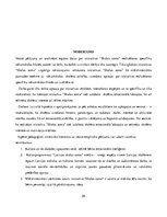 Referāts 'Iniciatīvas "Skolas soma" īstenošanas specifika sākumskolā', 28.