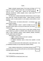 Konspekts 'Kompozīcijas izteiksmes līdzeklis - punkts', 1.