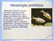 Prezentācija 'Interesanti fakti par zivīm', 3.