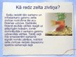 Prezentācija 'Interesanti fakti par zivīm', 4.