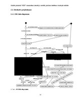 Diplomdarbs 'Atklātā pirmkoda "NSIS" izmantošana instalāciju izstrādē, produktu testēšana vir', 16.