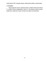 Diplomdarbs 'Atklātā pirmkoda "NSIS" izmantošana instalāciju izstrādē, produktu testēšana vir', 40.