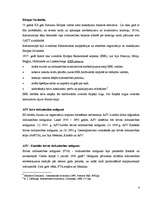 Konspekts 'Pasaules ekonomikas reģionalizācija', 4.