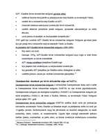 Konspekts 'Pasaules ekonomikas reģionalizācija', 5.