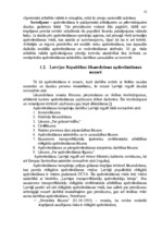 Diplomdarbs 'AAS "Balta" nekustamo īpašumu apdrošināšanas pakalpojumu pilnveidošanas iespējas', 11.