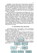 Diplomdarbs 'AAS "Balta" nekustamo īpašumu apdrošināšanas pakalpojumu pilnveidošanas iespējas', 31.