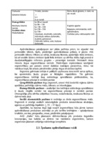 Diplomdarbs 'AAS "Balta" nekustamo īpašumu apdrošināšanas pakalpojumu pilnveidošanas iespējas', 33.