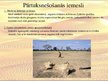 Prezentācija 'Sāhelas zona, pārtuksnēšanās un tuksnešu izplatība', 6.