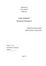 Referāts 'Audita rokasgrāmata SIA "Kinetyc nail system"', 1.