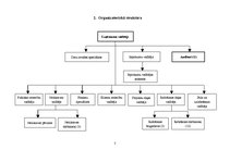 Referāts 'Audita rokasgrāmata SIA "Kinetyc nail system"', 5.