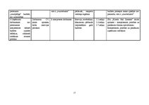 Referāts 'Audita rokasgrāmata SIA "Kinetyc nail system"', 17.