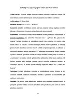 Referāts 'Audita rokasgrāmata SIA "Kinetyc nail system"', 18.