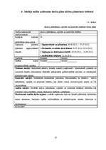 Referāts 'Audita rokasgrāmata SIA "Kinetyc nail system"', 19.