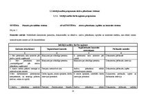 Referāts 'Audita rokasgrāmata SIA "Kinetyc nail system"', 20.