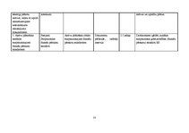 Referāts 'Audita rokasgrāmata SIA "Kinetyc nail system"', 23.