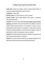 Referāts 'Audita rokasgrāmata SIA "Kinetyc nail system"', 24.