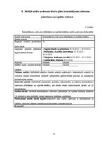 Referāts 'Audita rokasgrāmata SIA "Kinetyc nail system"', 30.