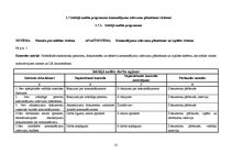 Referāts 'Audita rokasgrāmata SIA "Kinetyc nail system"', 31.