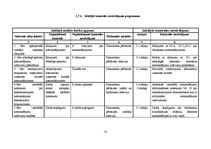 Referāts 'Audita rokasgrāmata SIA "Kinetyc nail system"', 32.