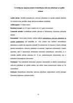 Referāts 'Audita rokasgrāmata SIA "Kinetyc nail system"', 33.