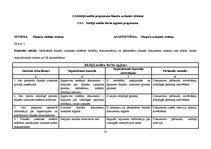 Referāts 'Audita rokasgrāmata SIA "Kinetyc nail system"', 35.