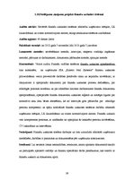 Referāts 'Audita rokasgrāmata SIA "Kinetyc nail system"', 39.