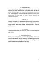 Referāts 'Senā Roma', 5.