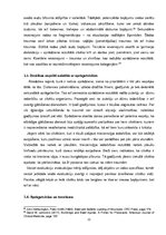Diplomdarbs 'Ieroču un munīcijas klasifikācija, to aprite Latvijā, sprāgstvielu iedalījums', 26.