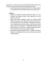 Prakses atskaite 'Prakse SIA "Olympic Casino Latvia"', 28.