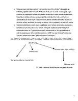 Biznesa plāns 'Atpūtas kompleksa "Vītolmājas" izveide', 7.