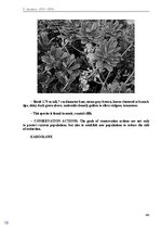 E-grāmata 'Тайный остров', 151.